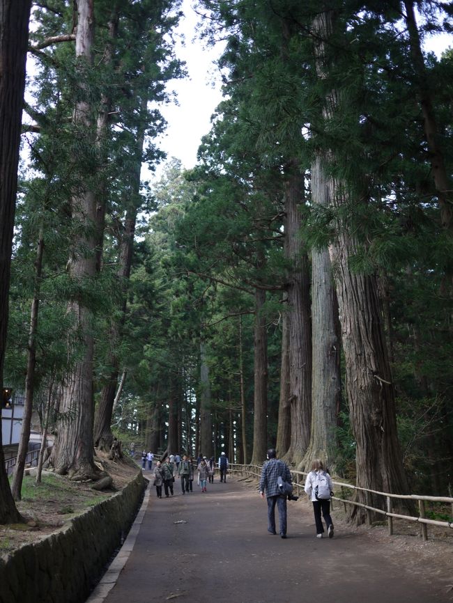 参道を登ります。<br />結構長くて傾斜もあり、脚の裏が痛くなってきます・・・