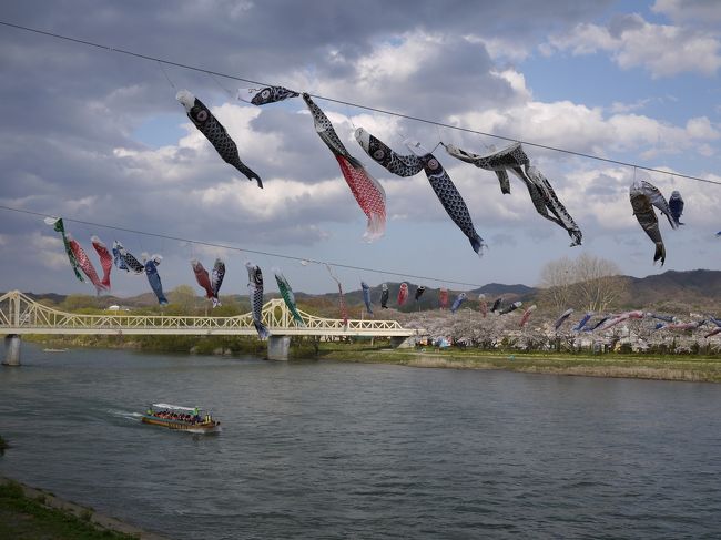 川沿いに行くと、見たかった景色が！<br />こいのぼりがいっぱい！<br /><br />でもまた黒い雲が・・・・