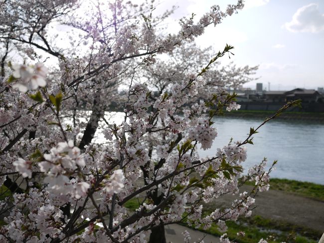 対岸に渡りました。