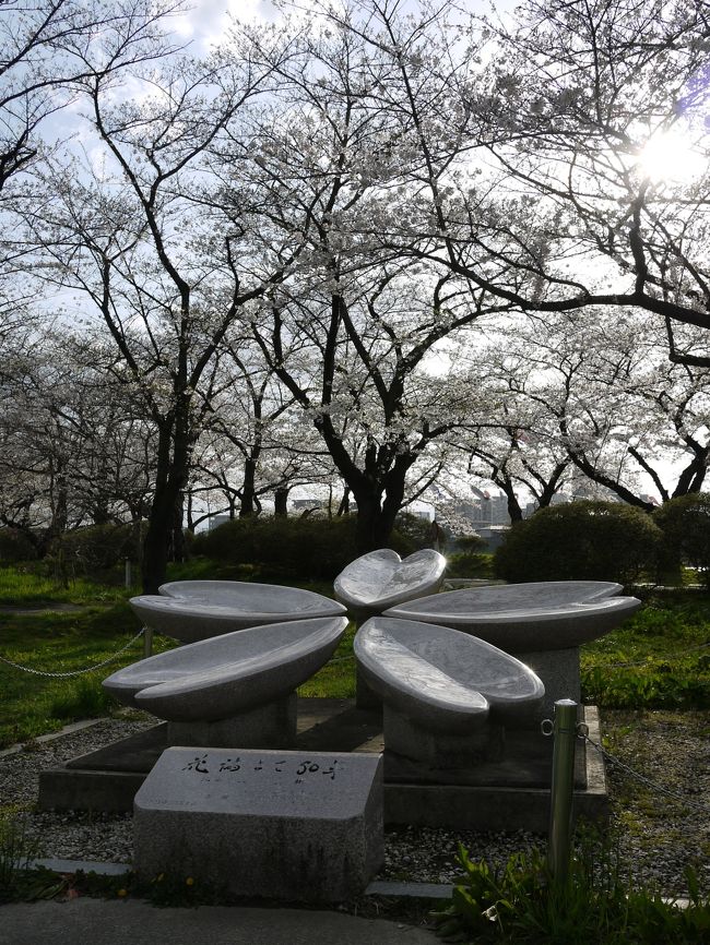 桜のモニュメント？？<br />よく分からないけどかわいい。