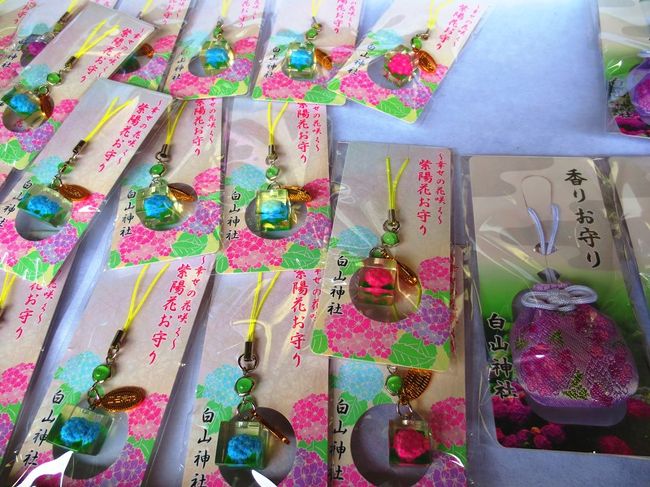 梅雨の東京散歩 白山神社のあじさい祭り 巣鴨 おばあちゃんの原宿へ 大塚 巣鴨 駒込 東京 の旅行記 ブログ By みかりさん フォートラベル