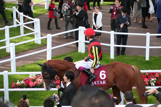 ALC25 がんばれ、オルフェーヴル@凱旋門賞』パリ(フランス)の ALC25 がんばれ、オルフェーヴル@凱旋門賞』パリ(フランス)の