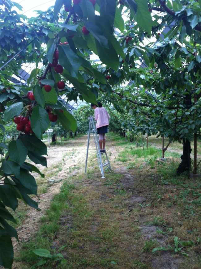 自分で脚立まで持ち出して！