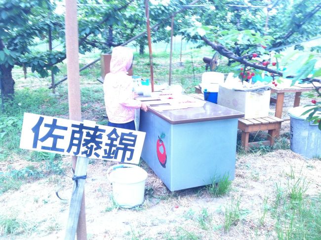 ちょくちょく試食を繰り返します<br />。<br />