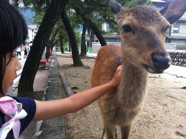ぴくりとも　動きません。<br /><br />おかげで　間近でじっくり観察できました。<br />「まつげ　なが〜い」