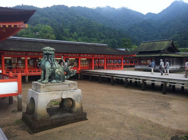 水がひいてます。