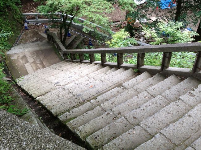 この階段！<br />靴擦れするのではないかとハラハラ