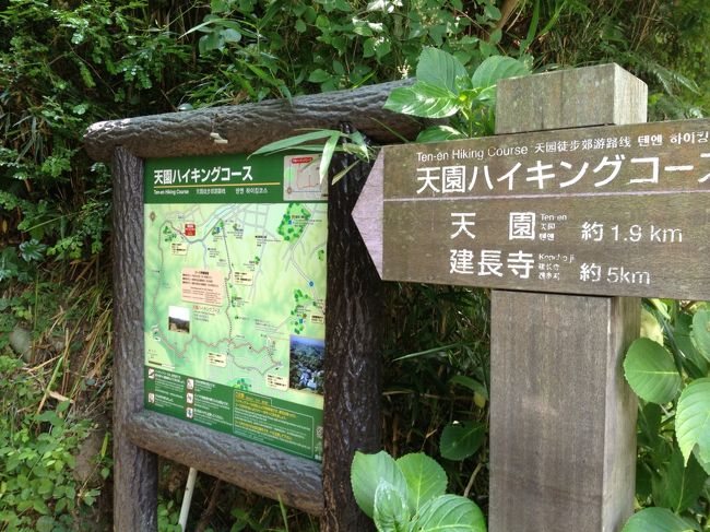 これにてハイキングコース終了