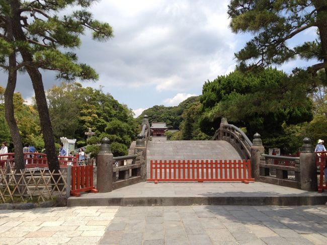 住宅地を抜けて鶴岡八幡宮へ<br />疲れているので見学なしよ〜