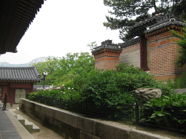 王妃様の寝室から見る庭