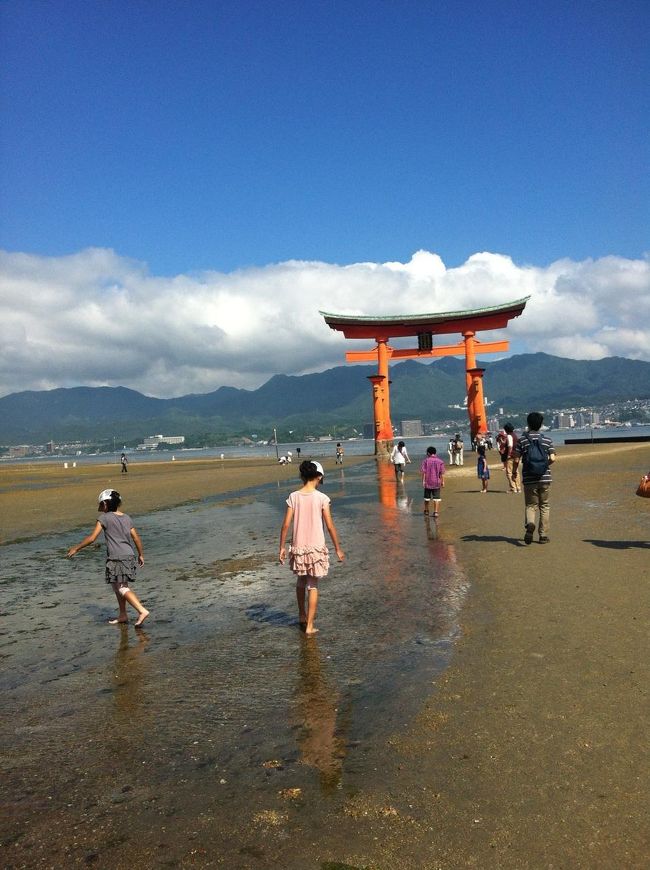 かにややどかりがたくさんいて、子どもが夢中になってました。<br /><br />いや・・・メインは鳥居なんですけど。