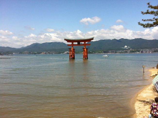 さっき歩いて行けた鳥居が　もう水につかっています。<br /><br />この後、せっかくだから岩国・錦帯橋へ。