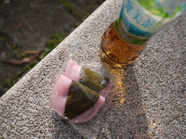 お花見ときたら団子♪<br />関西とはさくらもちがちょっと違うのです。<br /><br />雲行きもまた怪しくなってきたので、急いで駅に戻り盛岡駅に<br />向かいました。