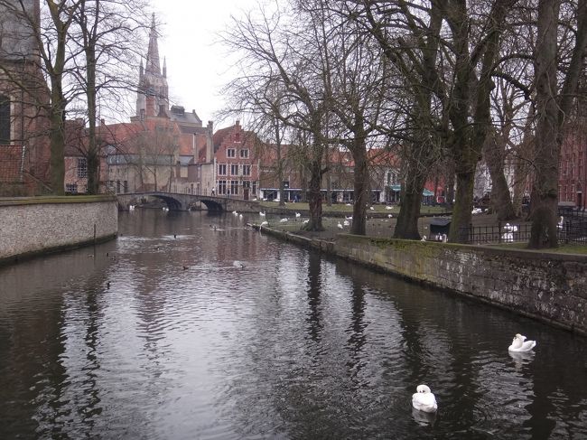 ベルギー・ブルージュ『愛の湖公園』<br />（Minnewater Park）<br /><br />『聖母教会』を背景に、緑に囲まれた静かな公園と<br />白鳥が遊ぶ湖は、まさに1枚の絵のようです。<br /><br />