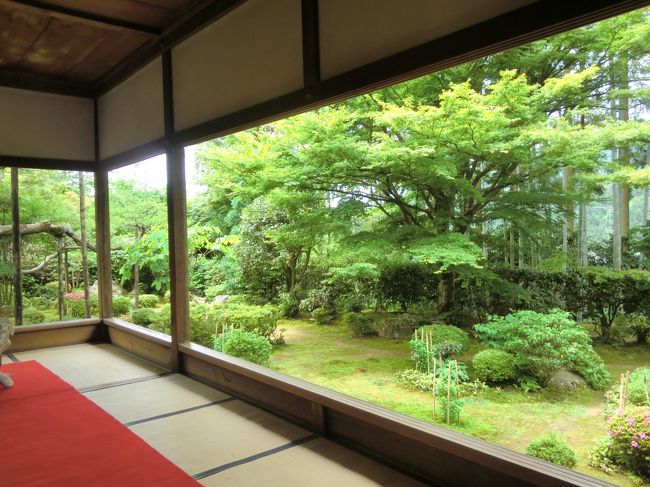 京都】 お抹茶つき額縁庭園 ~宝泉院~』八瀬・大原・貴船・鞍馬 京都】 お抹茶つき額縁庭園 ~宝泉院~』八瀬・大原・貴船・鞍馬
