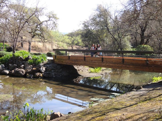 庭がとても広くて、手入れもしてあって、いい感じでした。