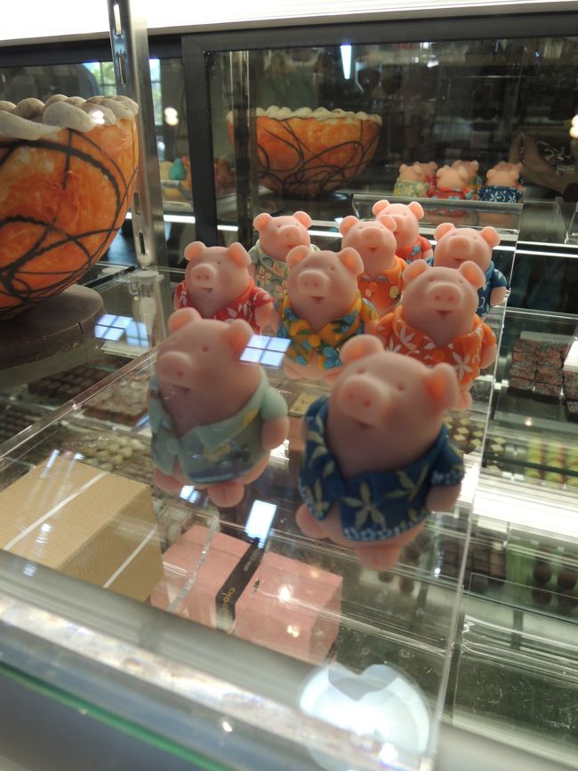 きゃー！かわいい豚さん！