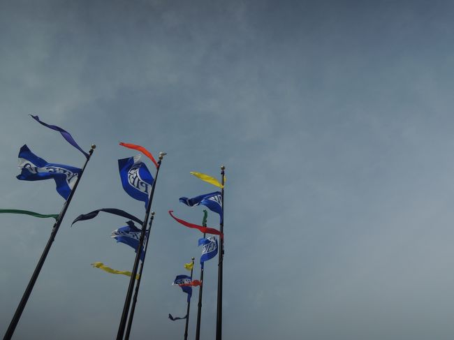 この日は強風でした。