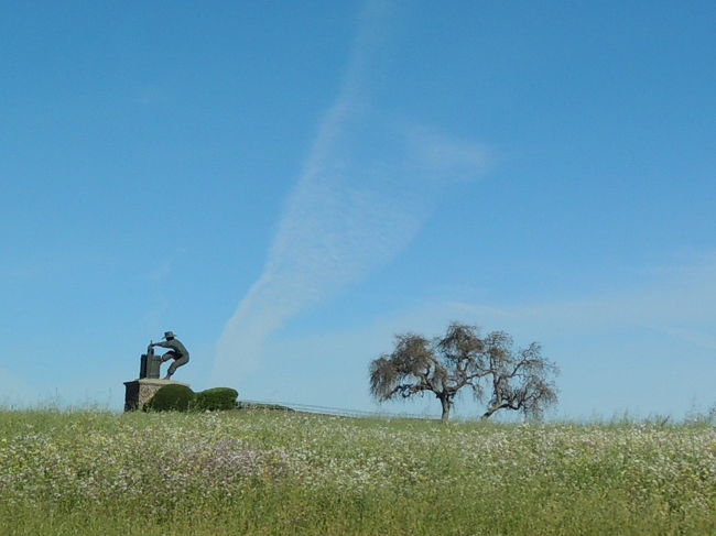 ここからナパですよー♪