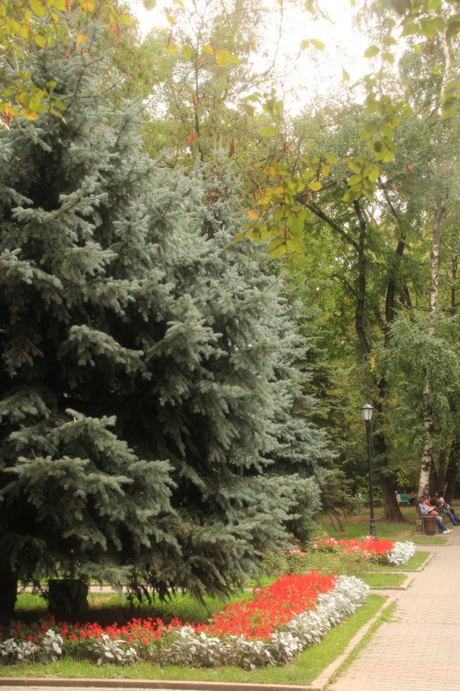 花壇ともみの木<br /><br />ここでリスを見つけました。<br />この公園内にリスがいることは知っていましたが、そうそうに目撃できやしないでしょう。<br />ラッキーでした。<br />まるで、カザフ民族楽器博物館が閉館でがっかりした私を慰めてくれるかのように。<br /><br />パンフィロフ戦士公園のリスの写真はこちらのハイライト旅行記にあります。<br />「2012年中央アジア旅行〜ウズベキスタン・キルギス・カザフスタン〜ハイライトその10：動物編＜遊牧民の動物と沙漠の動物＞」<br />http://4travel.jp/traveler/traveler-mami/album/10724473/<br />