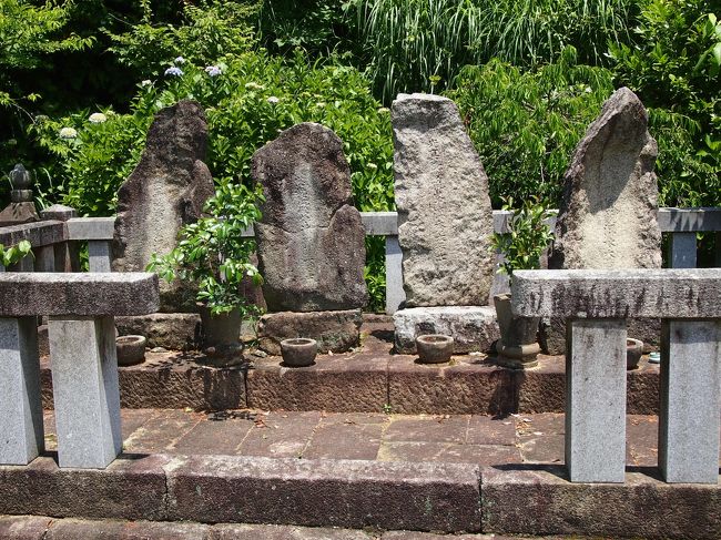 近くに行きたい♪ 「愛知の紫陽花の名所 三ヶ根山スカイラインと本光寺(*^。^*)」