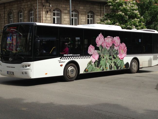 専用になりました。トルコ、薔薇4点 薔薇の町ウスパルタ旅行①〜薔薇グッズがいっぱい〜 | 女郎蜘蛛