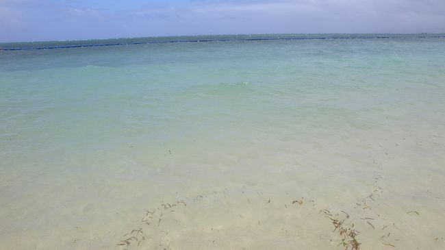 関東の海とは全然違いますね