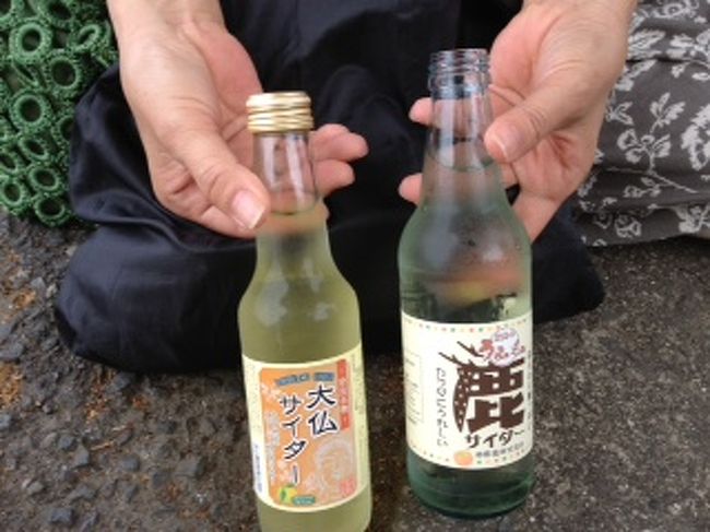 猿沢池の売店で買ったサイダー！<br /><br />半分ずつ飲みたいのでと言ったら紙コップを下さった親切なお店です