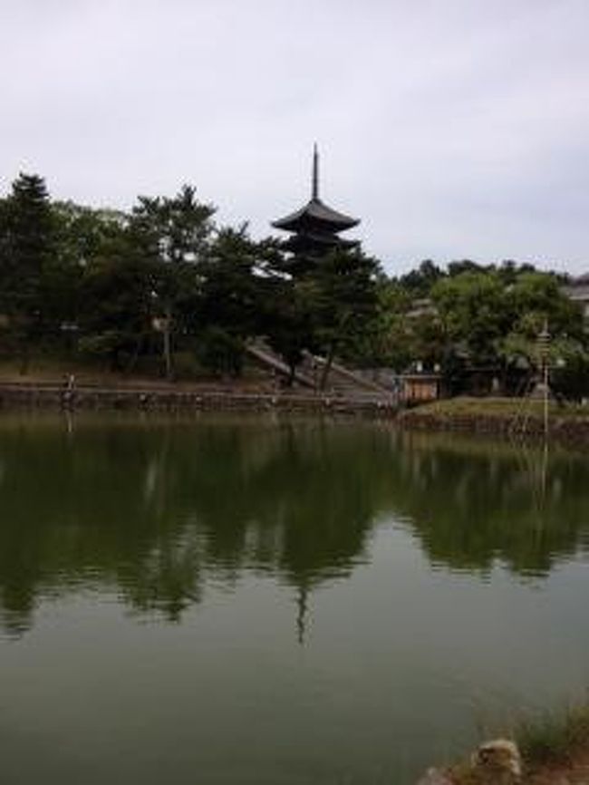 猿沢池から見た興福寺の五重塔です。<br /><br />絵を描いている方がたくさんいて、皆さん上手でした