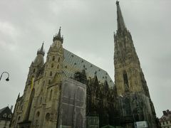 中心地にあるシュテファン教会．

南塔(写真の右)の高さは137mで，市庁舎の塔(107m)より高い．
ウィーンではこの塔より高いものは建てられないとのことで，一番高く，遠くからでもよく目立つ．
