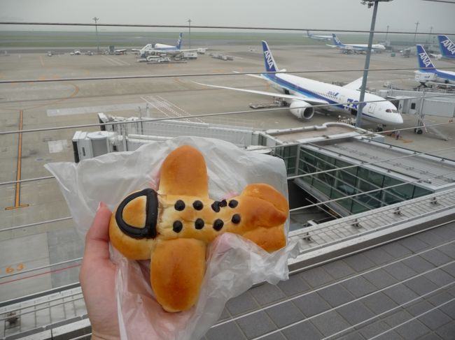 羽田空港て乗り継ぎに少し時間があったので<br />空港散策。<br />JALターミナルから歩いてANAターミナルへ。<br />パン屋で飛行機のパンを買い、展望エリアで787機発見！