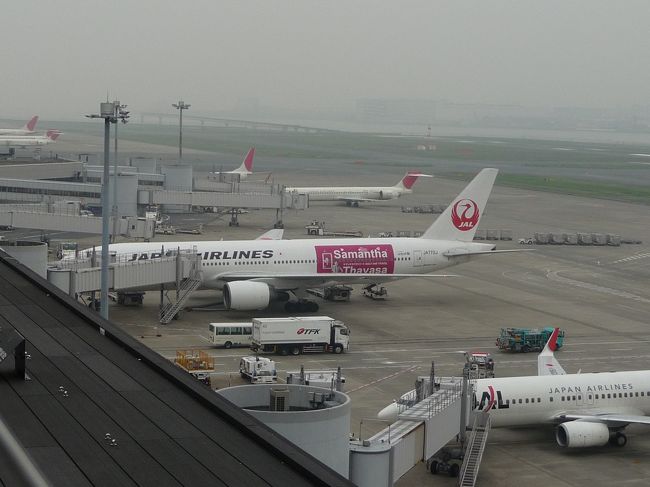 隣に特別塗装機サマンサタバサが。