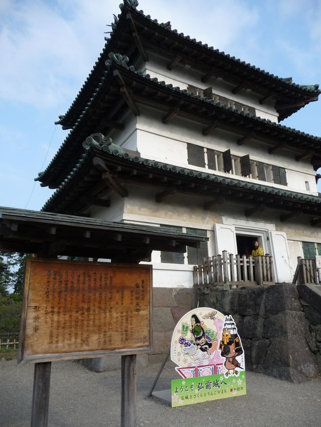 桜・・・・ない。