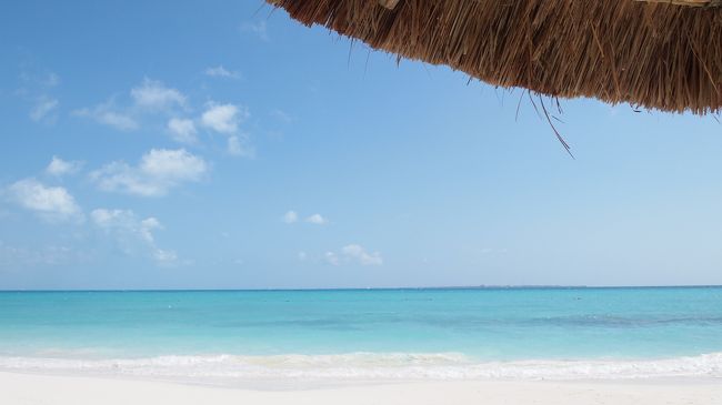 うーん、極楽。