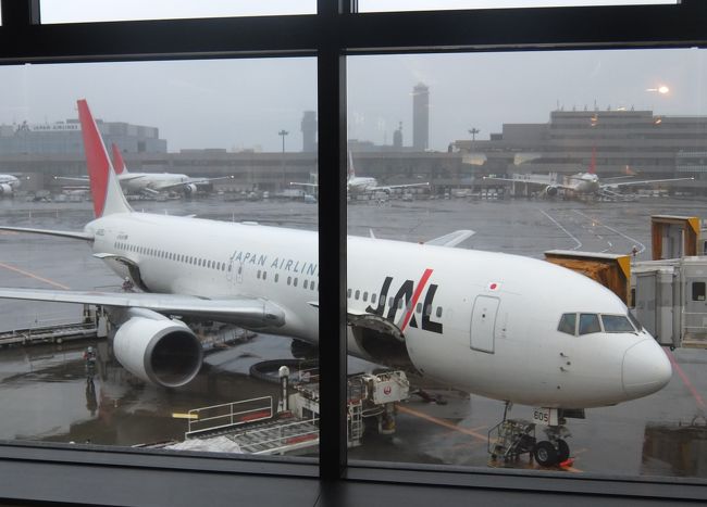 搭乗したJAL759便。<br />定刻（１７：５０）出発のはずが・・・チェックインしたのにまだ搭乗してない人が2人居るとの事で待機(>_<)<br />待っても来ず。<br />で、預けた荷物を取り出す作業が始まった・・日本って親切ね！<br />私はドバイで荷物を降ろして貰えない事があったのよ〜！<br />しかも悪いのは航空会社の方なのに！！（怒）<br /><br />ところで飛行機乗れなかったお2人、どうしちゃったのかしら？？<br />