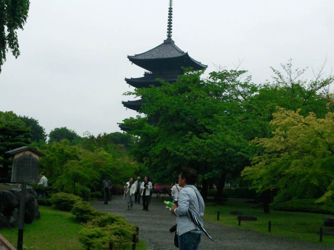 日本一の高さを誇る五重塔は、京都のシンボル的存在。