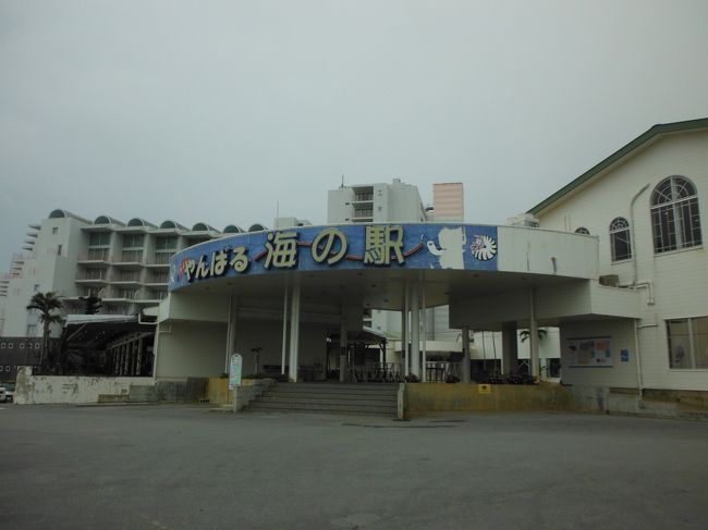 やんばる海の駅は色々な飲料がWAONなどの電子マネーで買い物できます。