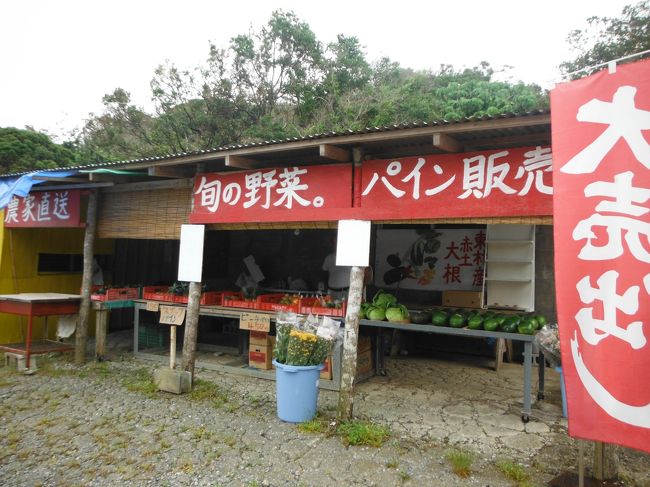 ４４９号線沿いにある、１個￥１００〜パイナップル売ってます！！