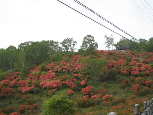 新緑とつつじが鮮やかな赤城山 前橋 群馬県 の旅行記 ブログ By えんたさん フォートラベル 新緑とつつじが鮮やかな赤城山 前橋 群馬県 の旅行記 ブログ By えんたさん フォートラベル