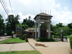 ピンナワラのゾウの孤児園