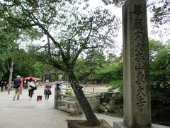 きっと、こうして写真を撮ってしまうだろうなぁと思ったので、少し早めに来て正解(笑)

奥のほうに見えてるのが、これからくぐる「南大門」。