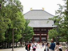 真っ直ぐ進むと、大仏殿も見えてきました。

ちなみに、大仏殿の高さは４８ｍで、横幅が５７ｍ、世界最大の木造建築物だそうです。

私、大人になってからは、夜間拝観にしか来たことがないんですが、それもまたの機会に旅行記にできればと。。。

さて、今日はこちらに立ち寄る時間は無いので…