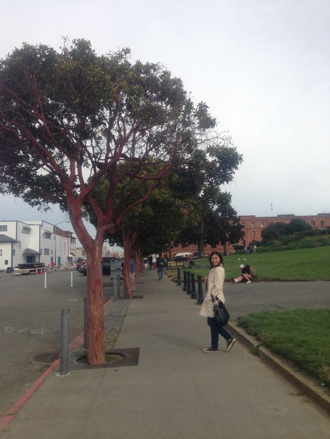 いい風が吹いてる♪