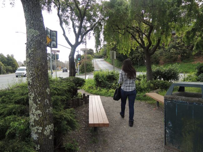 サウサリートまで来ました。<br />ここでちょっと街ぶらり。