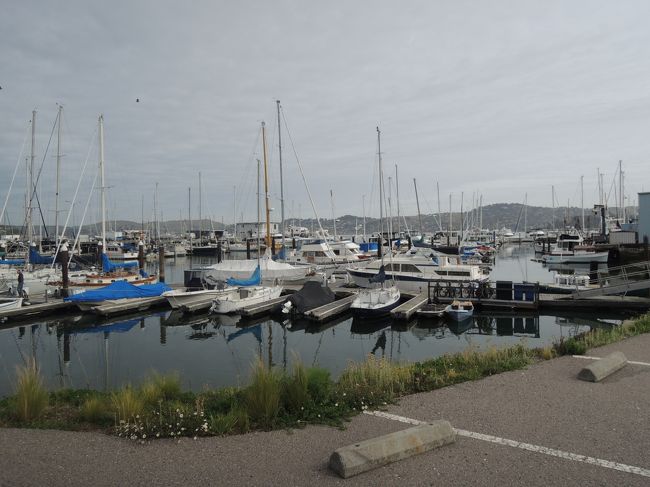 サウサリートはお金持ちのエリアで、金持ちのボート置場があります。<br />静か。