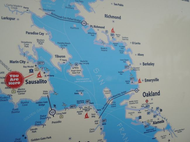 ここにいました☆