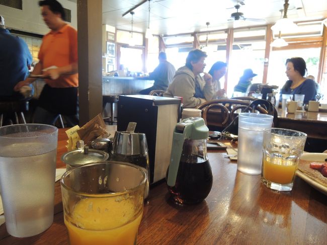 近所の人もここで朝ごはん?