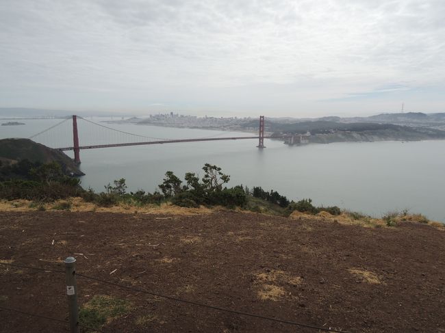 ちょっと上に上がりました。全貌が見えます。