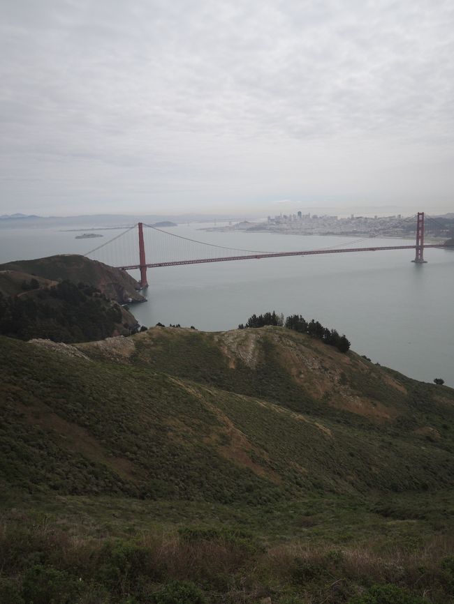 もうちょっと上に行きました。