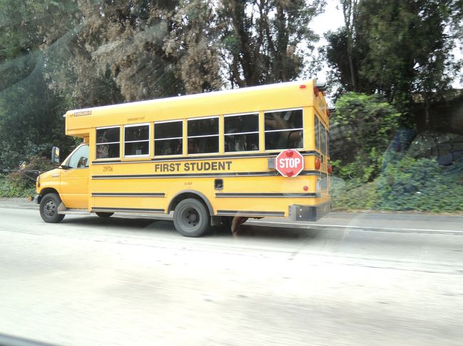 school bus, as you see on movies or dramas...